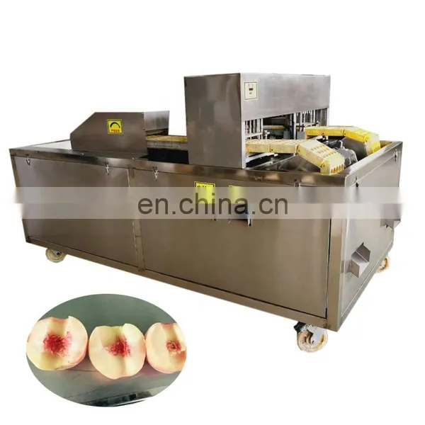 Peach Seed Removing Equipment Peach Nuclear Pitting Machine. photo-4