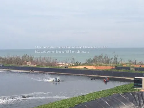 0.50mm Thick HDPE Geotextile Film for Raising Shrimp in High Water Ponds photo-3