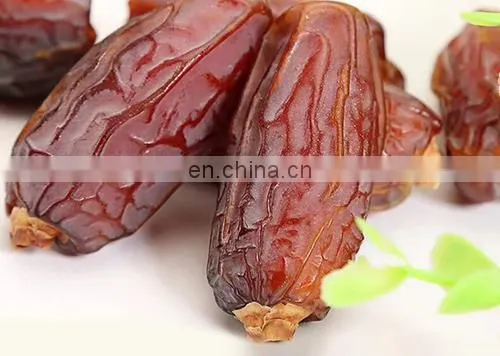 Automatic Date Processing Plant / Date Pitting Equipment / Date Seed Removing Machine photo-4