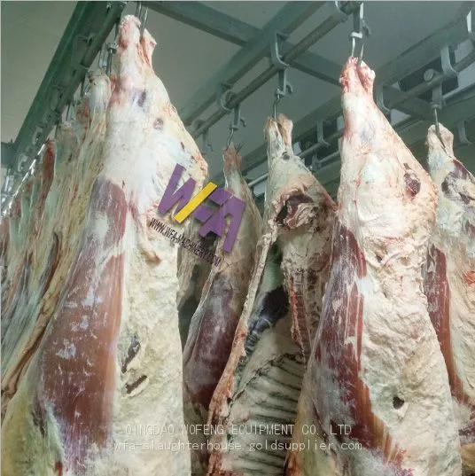 Professional Manufacture Butchery Equipment Machine For Cattle Slaughter Line photo-4