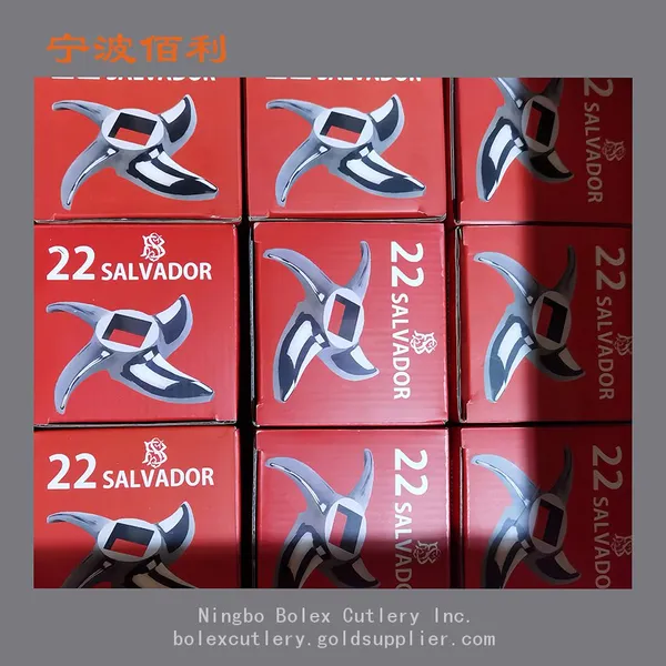 China Factory of Salvador Salvinox Meat Grinder Mincer Plates Knives Cutters Discs #12 #22 #32 #42 Hub Plates photo-3