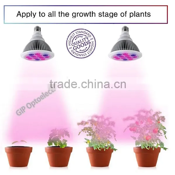 Hot Sale 12w/24w Red/Blue Emitting Color E27 Led Plant Light/LED Grow Light photo-3