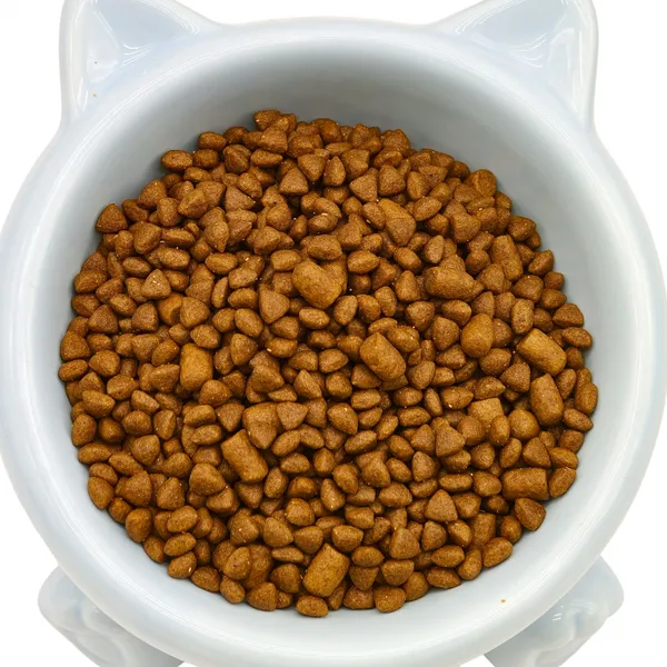 Complete Fresh Meat & Bone Dual-Blend Dog Food photo-2