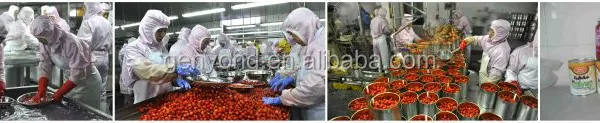 Strawberry Jam Strawberry Jam Production Line Multifunctional Fruit Processing Machine photo-5