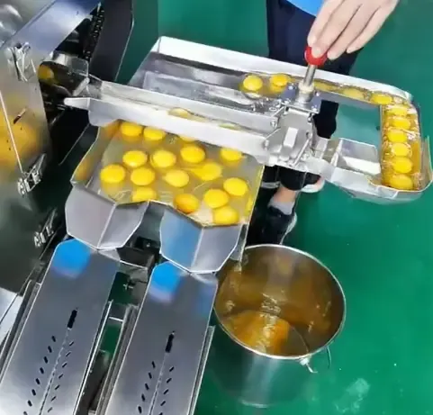 Shanghai Mini Size Egg Powder Production Line photo-4