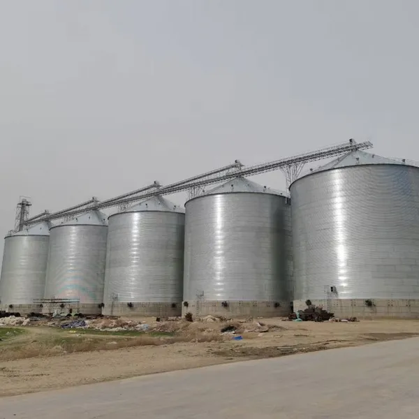 Heavy Duty Galvanized Steel Grain Silo for Farm Storage and Agricultural Processing photo-2