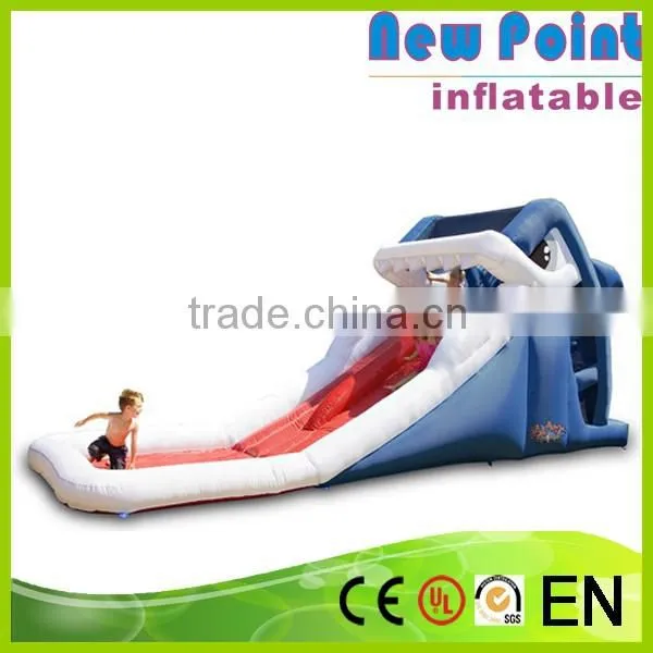 New Point Cheap Inflatable Double Water Slides, Water Slide for Inflatable Pool photo-2