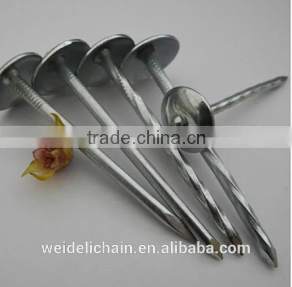 High Quality Roofing Nails/umbrella Roofing Nails/umbrella Head Roofing Nails photo-5