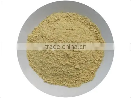 Ginger Powder Premium Factory Price