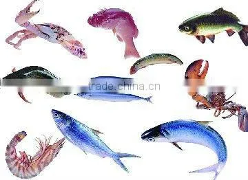 Water Purification Product