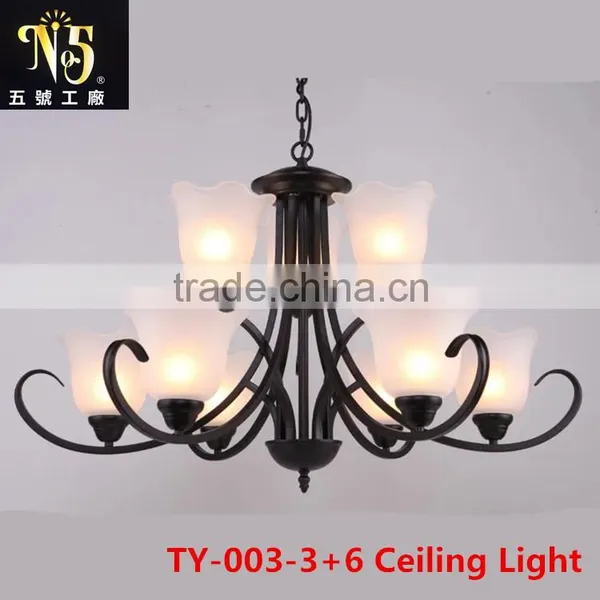 2016 Hot Sale Flower Patterned Glass Chandelier Iron Light for Dining Room for Home or Coffee House photo-3