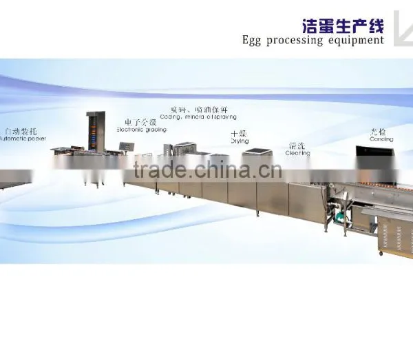 Egg Processing Machine Egg Farm Machine