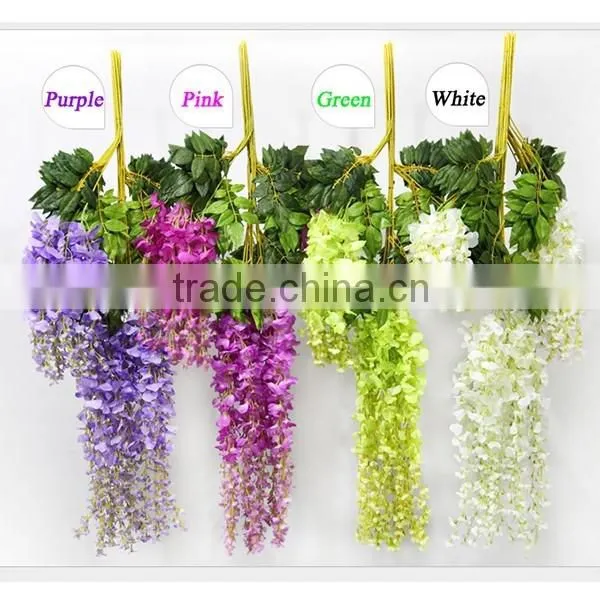 Chinese Native Mini Blue Chinese Wisteria Flowers photo-2