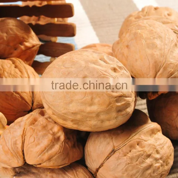 Extract Walnuts for Wholesale photo-3