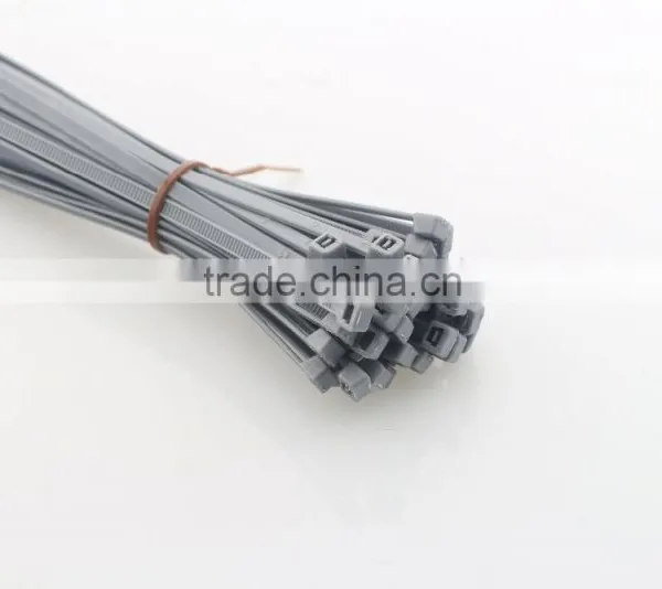 Nylon Plastic Nylon 66 Cable Tie photo-2