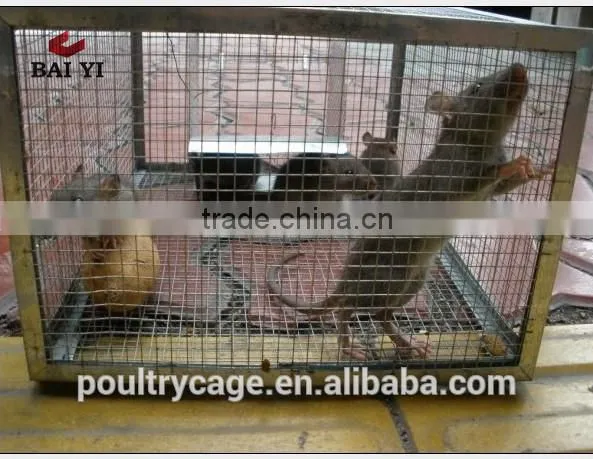 PVC Coated Mouse Catch Trap Cage And Mouse Cage Design photo-6