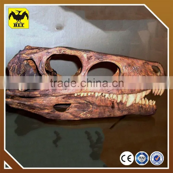 Museum Quality Life Size Fiberglass Dinosaur Skeleton photo-2