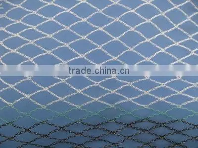 Monofilament Fishing Net