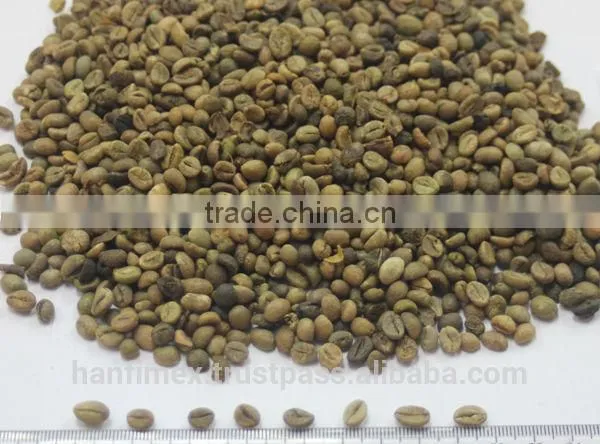 Coffee Beans S13 photo-3