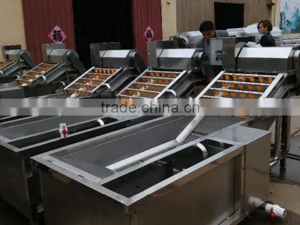 Video of SS304 Bubble Tomato Washing Machine and Washer Fruit/ Bulk Washing Machines photo-2