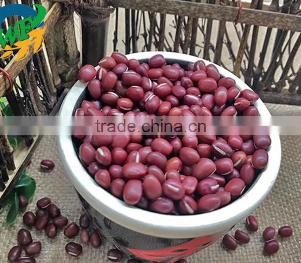 Chinese New Crop Red Adzuki Bean photo-3