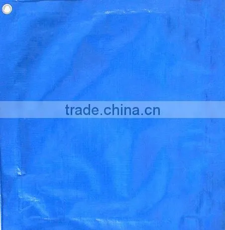 The Cheap Poly Tarp and Poly Tarp With pp Rope of Blue Poly Tarp