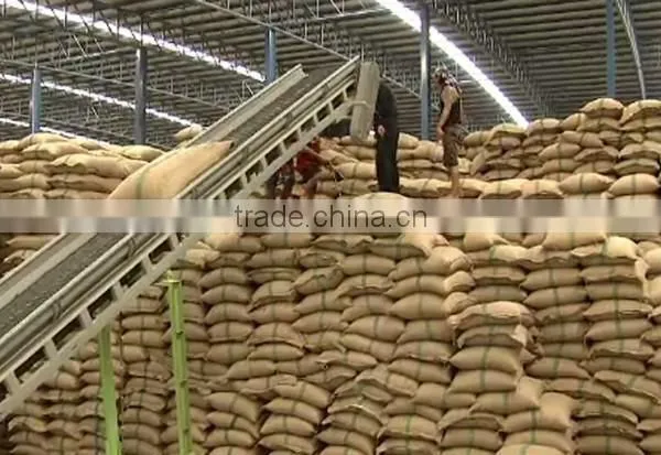 JAPONICA/ROUND WHITE RICE 5% BROKEN - BEST SELLING - VIETNAM RICE MILL photo-4