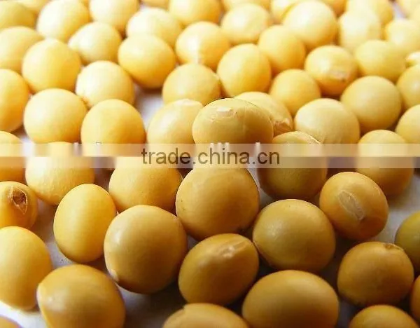 Soy Extract Soybean Peptide to Prevent Cardiovascular Disease photo-2