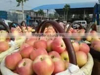 Fresh Red Gala Apple photo-2