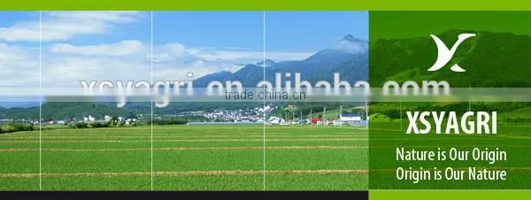 Natural Organtic Fertilizer Tea Seed Meal Liquid photo-3