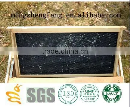Beeswax Sheet-Honey Bee Hive Foundation Sheets Price/plastic Honey Comb for Langstroth Bee Hive photo-4