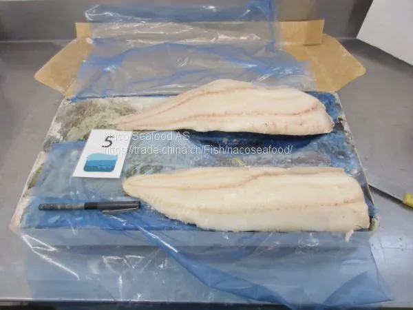 Atlantic Cod Fish, Cod Fillet, Norway Dry Stock Fish Cod HOG, Cod Bladder, HADDOCK Fish, Saithe Fish, Frozen Cod Head photo-3