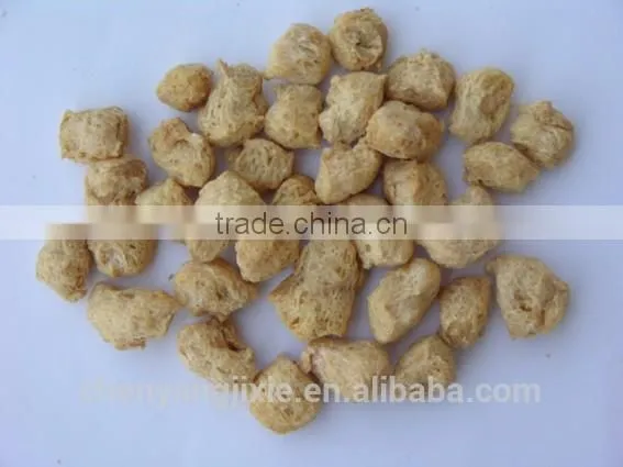 Soybean Protein Food Machine