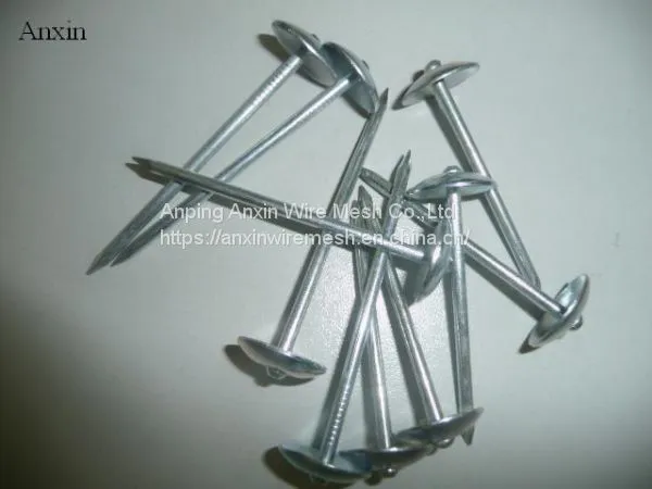 Galvanized Umbrella Head Roofing Nails 9gauge 2.5'' photo-3