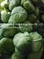 Fresh Cabbages