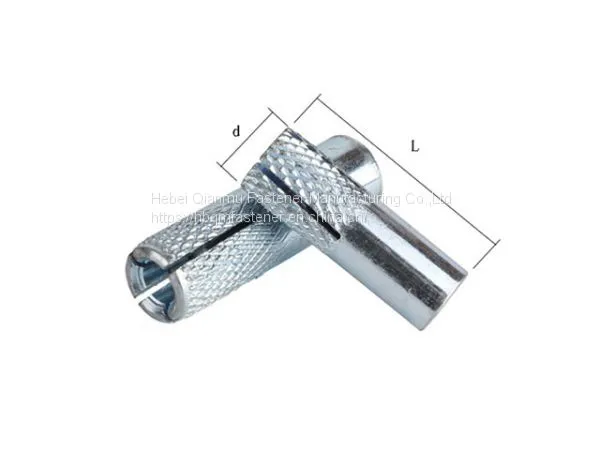 Hot Sale Galvanized Drop in Anchor for Concrete Drop in Anchor Bolt Hot Sale Galvanized Drop in Anchor photo-2