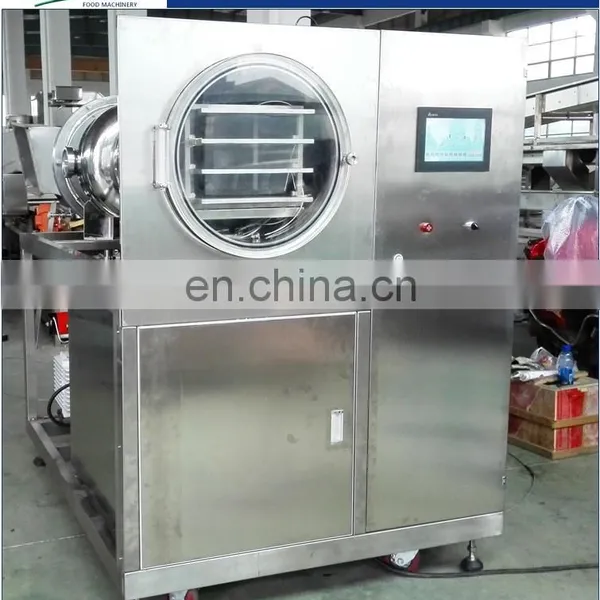 Vacuum Freeze Dryer Dryer Equipment photo-3