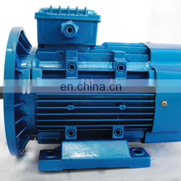 THREE PHASE ELECTRIC MOTOR photo-6
