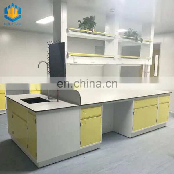 Chinese Laboratory Furniture Pathology Work Bench Lab Bench With Sink photo-2