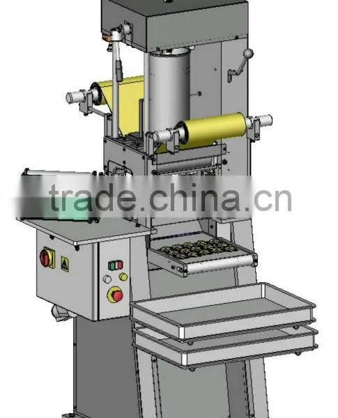 Ravioli Machine, Empanada Maker, Industrial Ravioli Machine