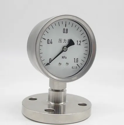 Stainless Steel Diaphragm Pressure Gauge With Shock Resistant Flange DN25 Pressure Gauge photo-2