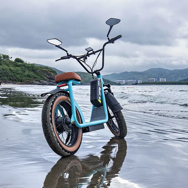 Two Wheels 1000W 20inch Fat Tire Electric Scooter photo-4