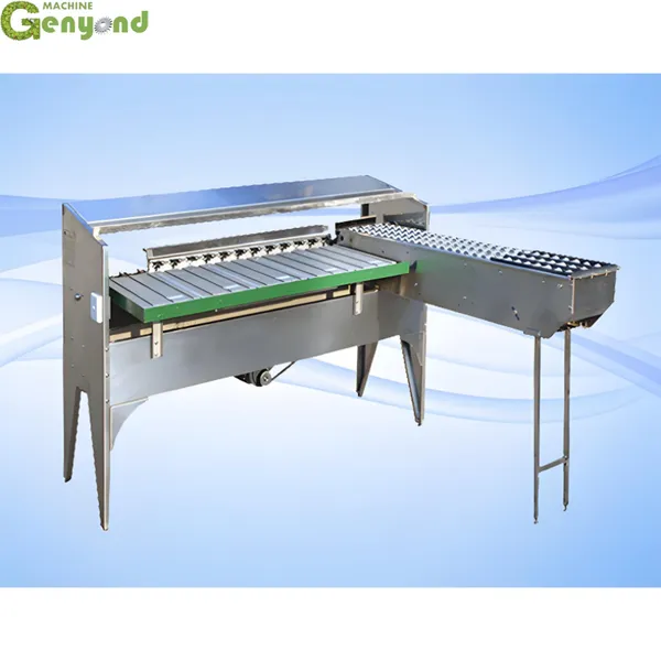 Automatic Egg Grading Machine Egg Grader Automatic Chicken Egg Sorting Machine photo-5
