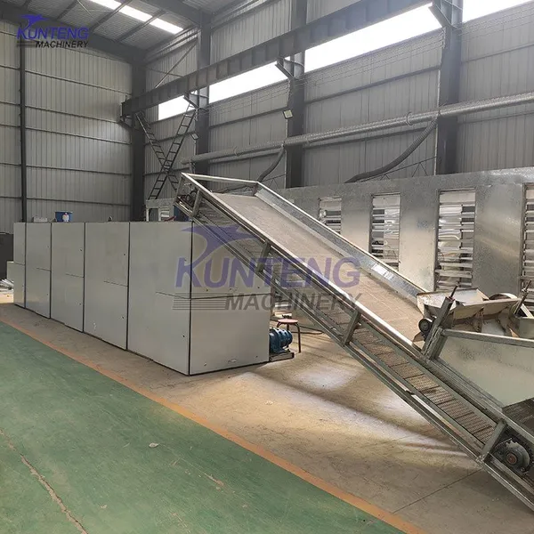 Firewood Burning Konjac Hawthorn Tea Onion Chili Day Lily Industrial Mesh Belt Dryer EPC photo-2