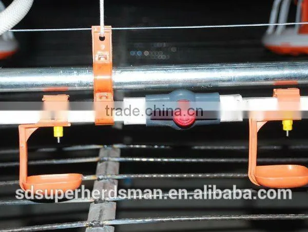 Chicken Poultry Breeder Equipments photo-2