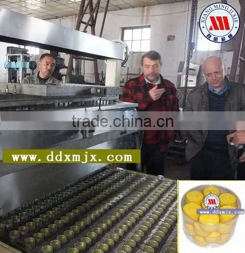 Sell-Half Automatic Filling Line: 1.2m Width, 32m Length