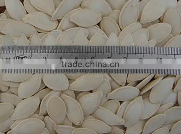 Yellow Pumpkin Seeds in Shell photo-3