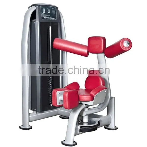 Rotary Torso Machine photo-2