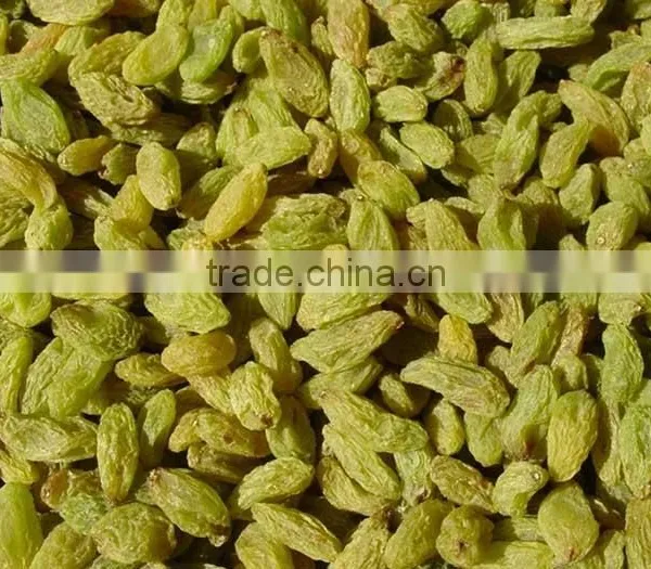 China Hot Sale AD Sweet Dried Green Raisins for Sale photo-3