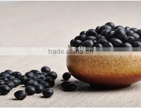 2016 China Black Kidney Beans photo-2